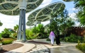 الصورة: الصورة: مدينة إكسبو دبي تستقبل الترشيحات لجائزة «إيرث شوت»