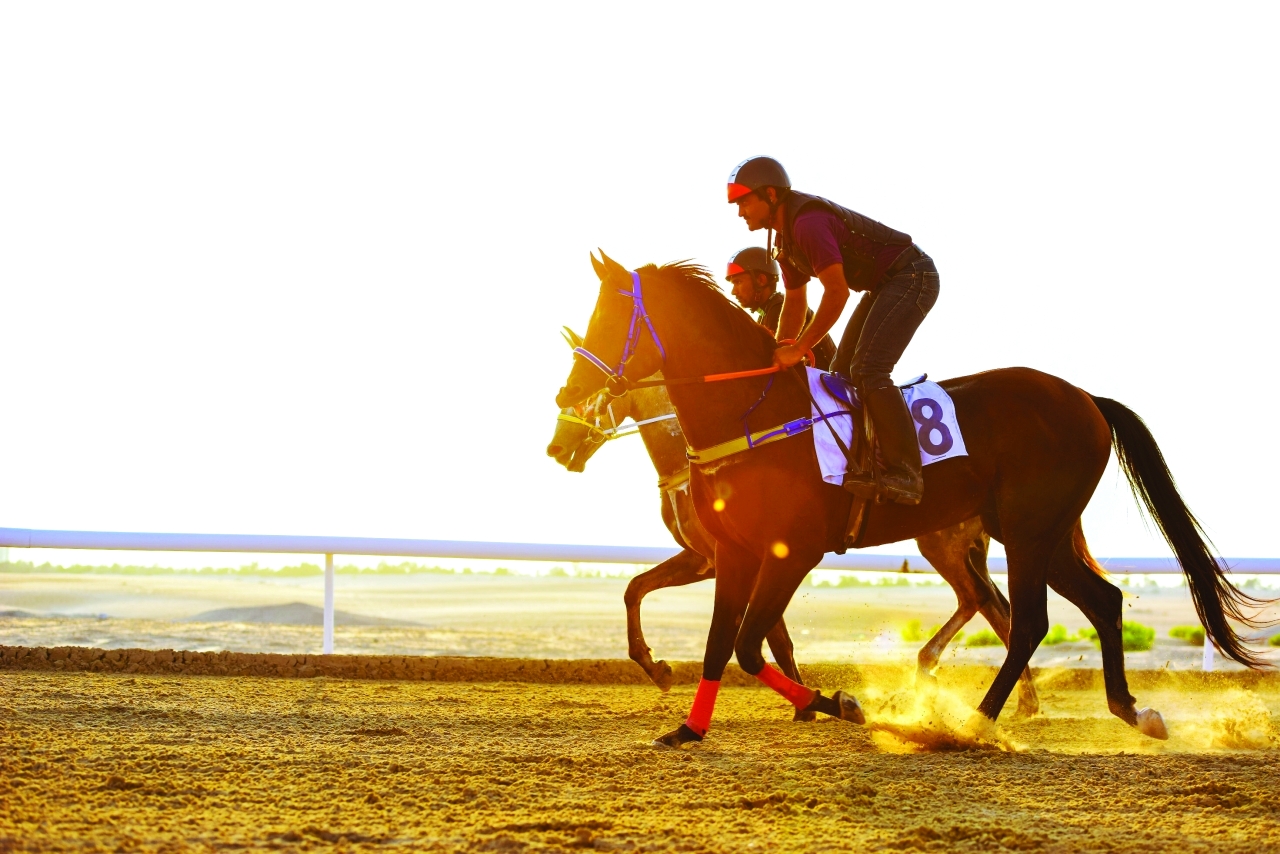 الصورة : تنافس مرتقب في سباق الخيول العربية | البيان