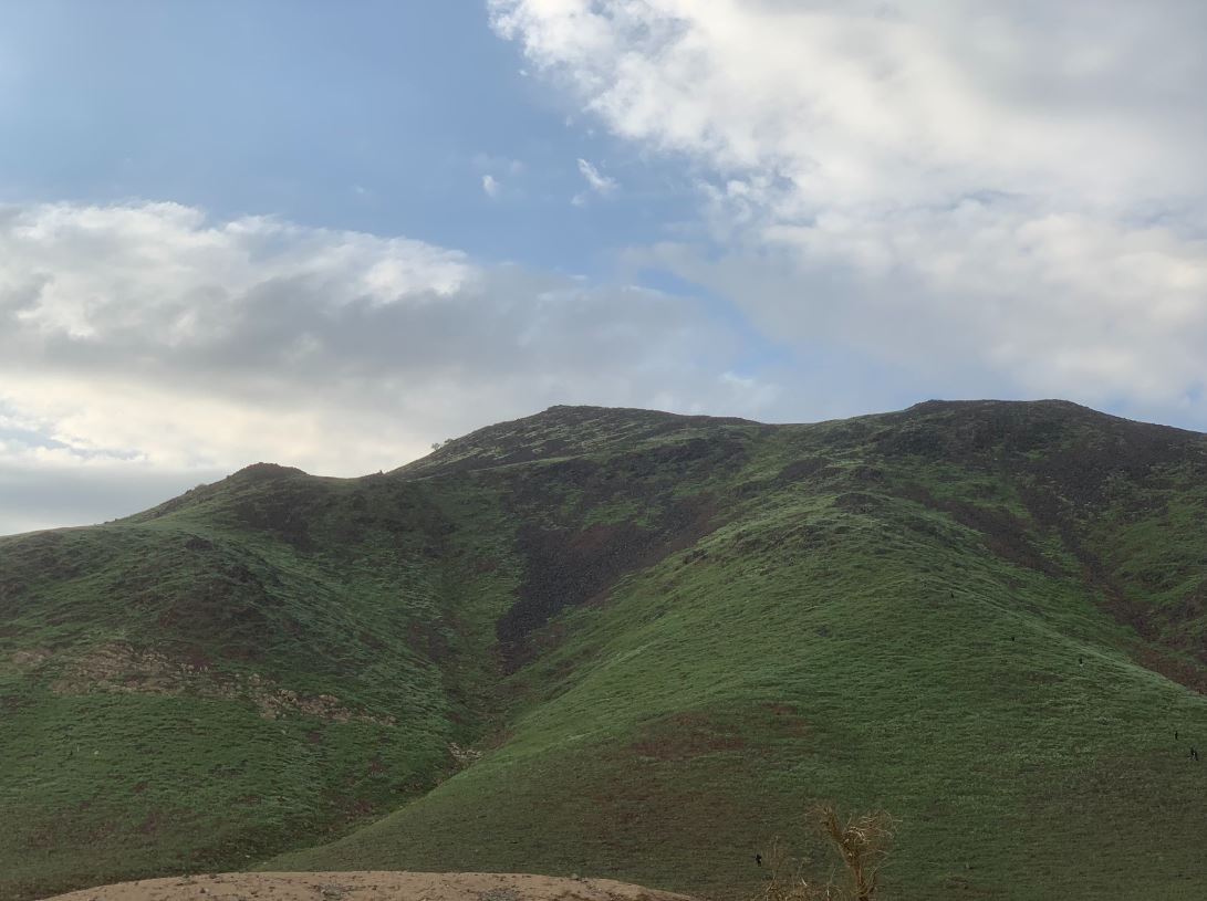 جبال مكة المكرمة تكتسي باللون الأخضر في منظر بديع