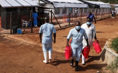 الصورة: الصورة: انتهاء تفشي إيبولا في أوغندا