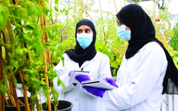 الصورة: الصورة: كلية الزراعة والطب البيطري بجامعة الإمارات.. انطلاقة نوعية في 2023