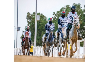 الصورة: الصورة: «الوثبة» جاهزة لتنظيم سباقي كأس فاطمة بنت منصور ومحمد بن منصور للقدرة