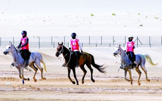الصورة: الصورة: سباق كأس فاطمة بنت منصور للقدرة ينطلق اليوم في الوثبة
