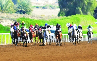 الصورة: الصورة: مضمار جبل علي يضيف شوطاً للخيول العربية السبت