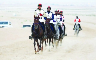 الصورة: الصورة: سباق «الإسطبلات الخاصة» يدشّن مهرجان سلطان بن زايد للقدرة