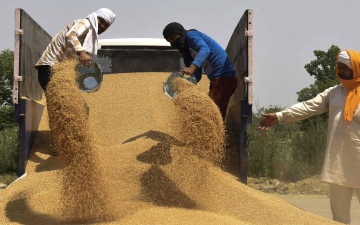 الصورة: الصورة: الهند لاتعتزم رفع القيود عن تصدير القمح قبل المحصول المقبل