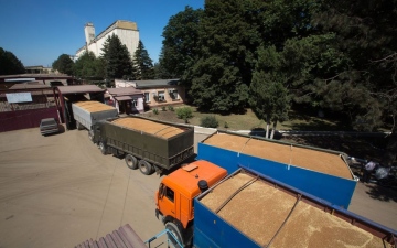 الصورة: الصورة: ارتفاع صادرات روسيا من القمح خلال العام الزراعي 22/23