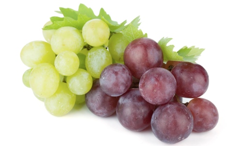 الصورة: الصورة: ما تأثير تناول العنب على صحتك؟ .. دراسة تكشف التفاصيل
