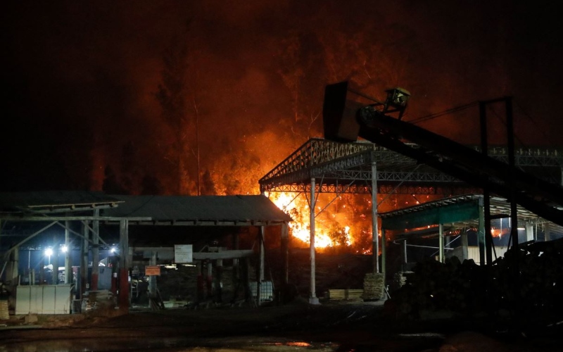 الصورة: الصورة: 13 قتيلاً في 200 حريق.. تشيلي تعلن "حالة الكارثة"