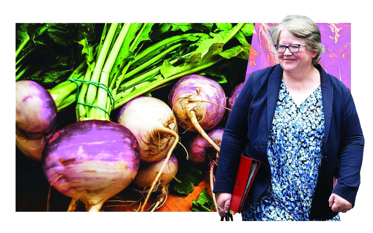 وزيرة بريطانية تقترح على مواطنيها تناول اللفت لمواجهة نقص الخضراوات