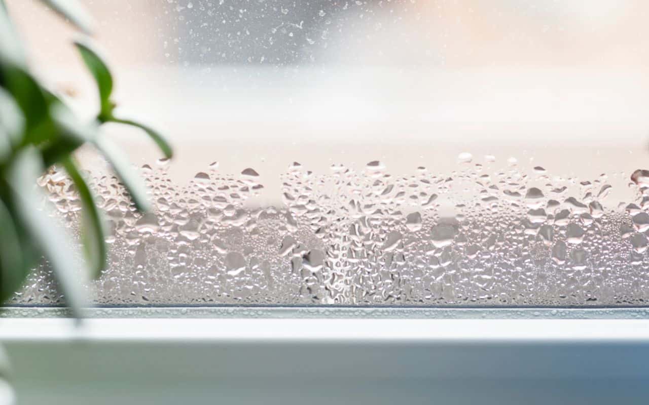 تحذير صحي من العفن الناتج عن تكثف الماء على النافذة
