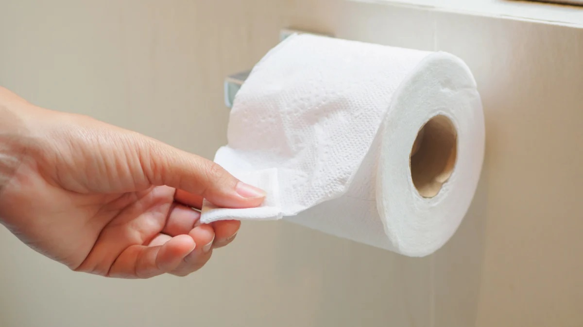 دراسة تلقي اللوم على ورق المراحيض في تلوث مياه الصرف الصحي