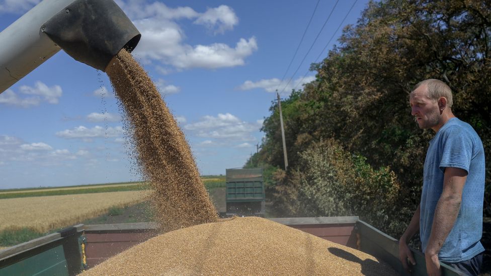 موسكو تتهم الغرب بتخريب اتفاق الحبوب مع أوكرانيا