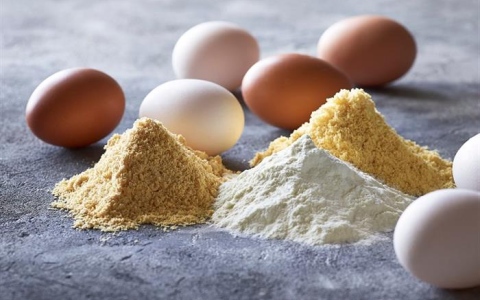 الصورة: الصورة: تعرف على فوائد واستخدامات "البيض البودرة"