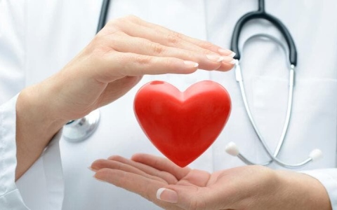 الصورة: الصورة: 6  نصائح تساعدك على تنشيط الدورة الدموية والحفاظ على صحة القلب