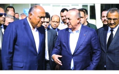 الصورة: الصورة: للمرة الأولى منذ 10 سنوات.. وزير الخارجية التركي يزور مصر