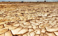 الصورة: الصورة: الجفاف قتل 43 ألفاً  بالصومال خلال عام