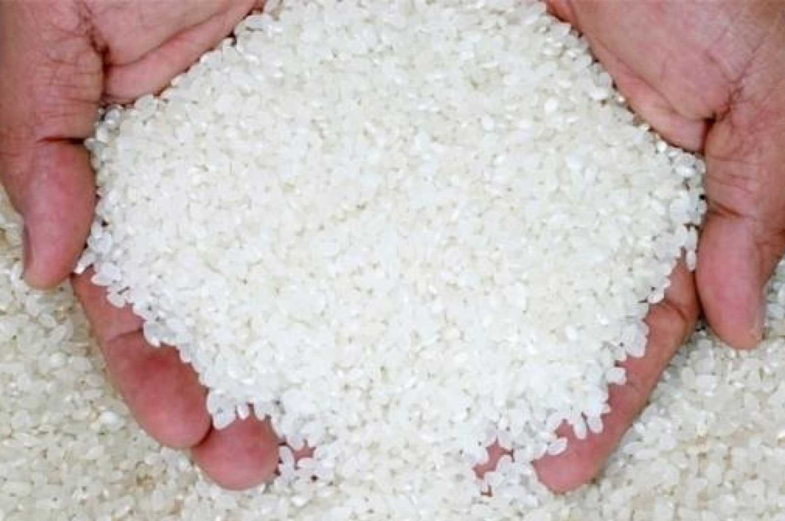 حقيقة وجود عجز في الأرز بالأسواق المصرية
