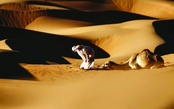 الصورة: الصورة: رحلة في صحراء دبي