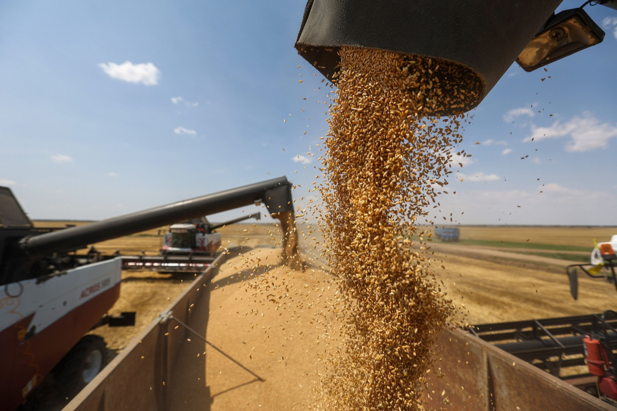 صادرات الحبوب الأوكرانية تتجاوز 5 ملايين طن في مارس