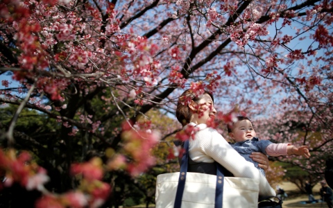 الصورة: الصورة: دعوات لاتخاذ خطوات حاسمة للتصدي لتراجع معدل المواليد في اليابان