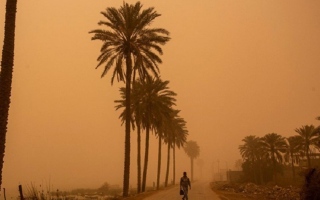 الصورة: الصورة: إصابة 500 شخص بالاختناق جراء العواصف الترابية في العراق
