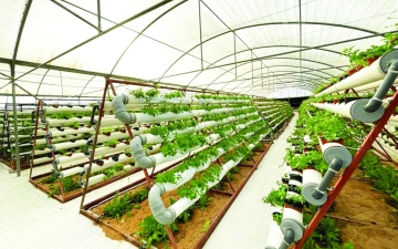 الصورة: الصورة: المزرعة الشاملة.. استدامة ومصنع ابتكار بـ«صفر نفايات»
