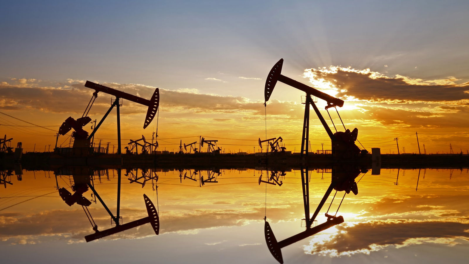 استقرار أسعار النفط بعد 4 أسابيع من الارتفاع المطرد