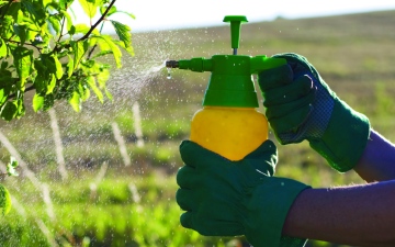الصورة: الصورة: ابتكار يكافح الآفات الزراعية بمبيدات مستدامة