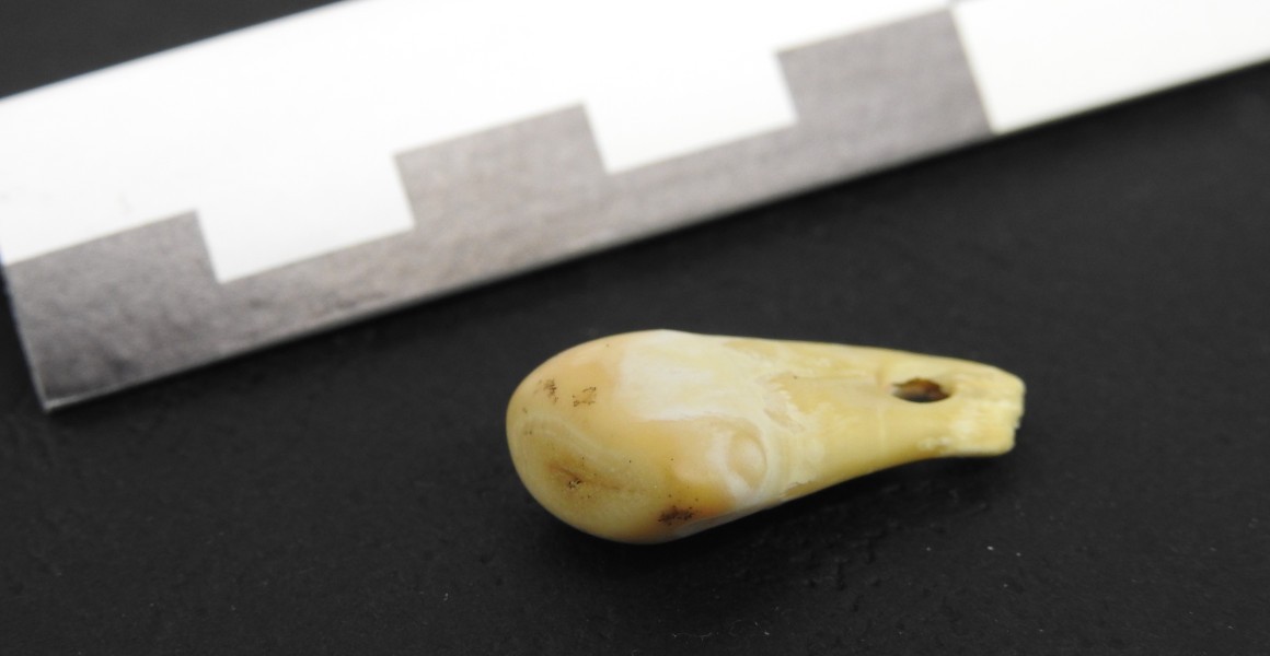 علماء يستخرجون الحمض النووي لامرأة من قطعة حلي عمرها 20 ألف عام
