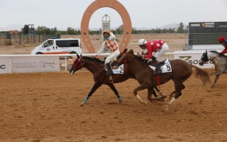 الصورة: الصورة: مهرجان منصور بن زايد للخيول العربية الأصيلة ينطلق غدا بمضمار مراكش في المغرب