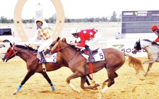 الصورة: الصورة: كأسا زايد والشيخة فاطمة للخيول في ضيافة مراكش اليوم