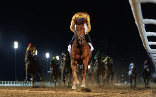 الصورة: الصورة: "دبي لسباق الخيل" يعلن عن هيكلة جديدة لـ"كرنفال سباقات دبي"