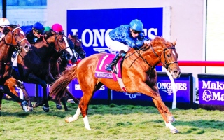 الصورة: الصورة: خيول الإمارات في تحدي «لوكينج ستيكس» بإنجلترا