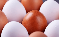 الصورة: الصورة: هل البيض البني أفضل للصحة من الأبيض؟