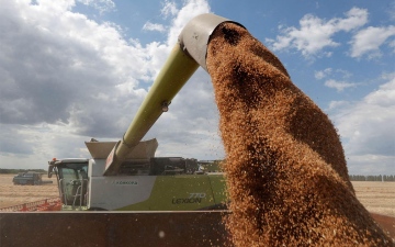 الصورة: الصورة: أوكرانيا مستعدة لمواصلة تصدير الحبوب حال انهيار الاتفاق الحالي