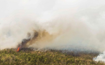 الصورة: الصورة: إجلاء الآلاف من سكان كيبيك جراء حرائق الغابات في كندا