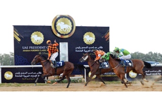 الصورة: الصورة: تونس تحتضن سباقات كأس رئيس الدولة للخيول العربية اليوم