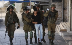 الصورة: الصورة: اعتقال 16 فلسطينياً جنوب نابلس