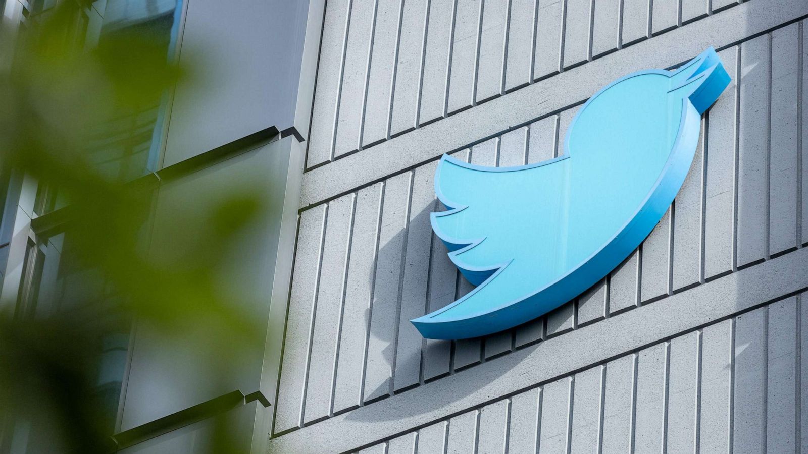 عاملون يقاضون «تويتر» بعد رفضها دفع مكافآت
