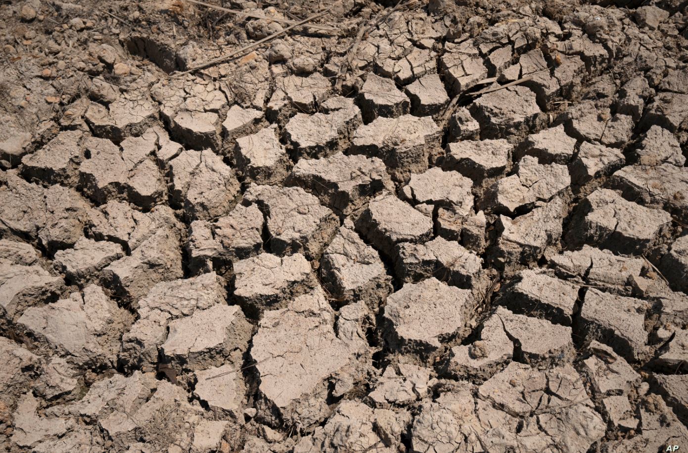 الجفاف يؤثر على 3 ملايين هكتار من الأراضي الزراعية في الصين