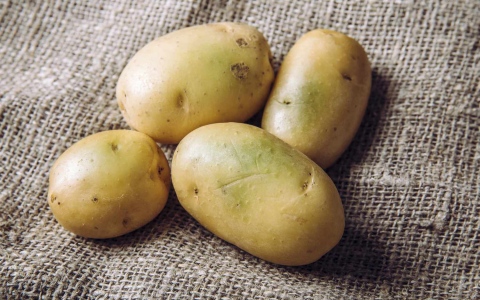 الصورة: الصورة: ما خطورة البقع الخضراء في البطاطس على صحتك؟