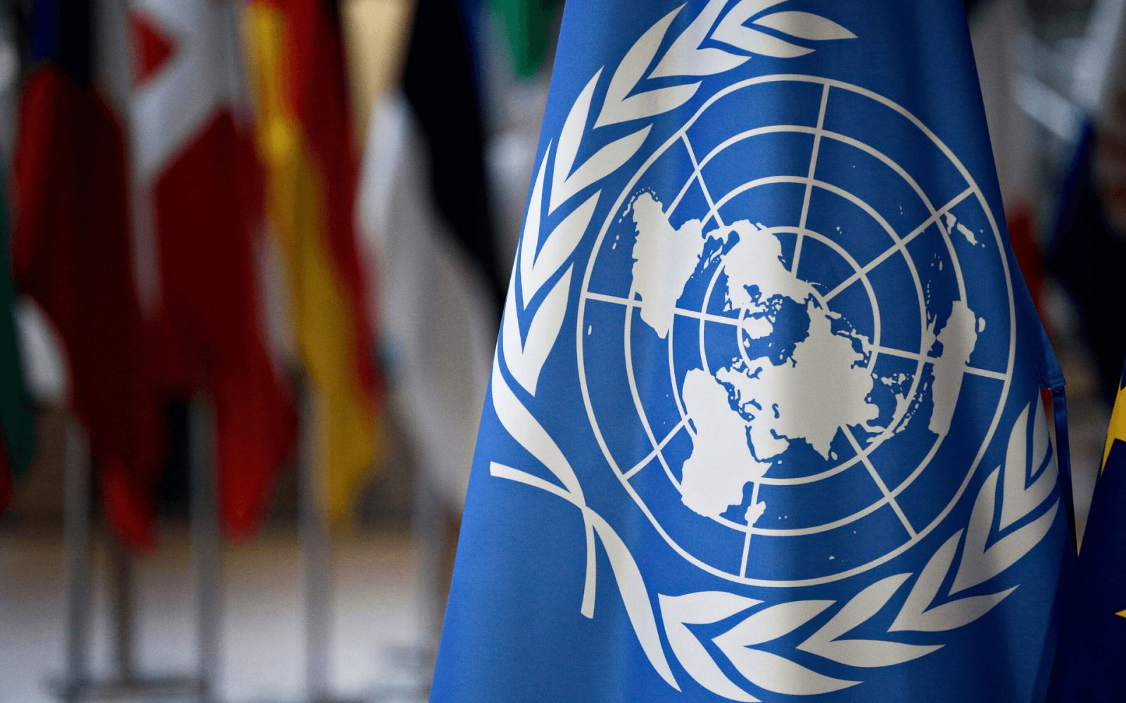 الأمم المتحدة: الإمارات تواصل ريادتها في «التوازن بين الجنسين»