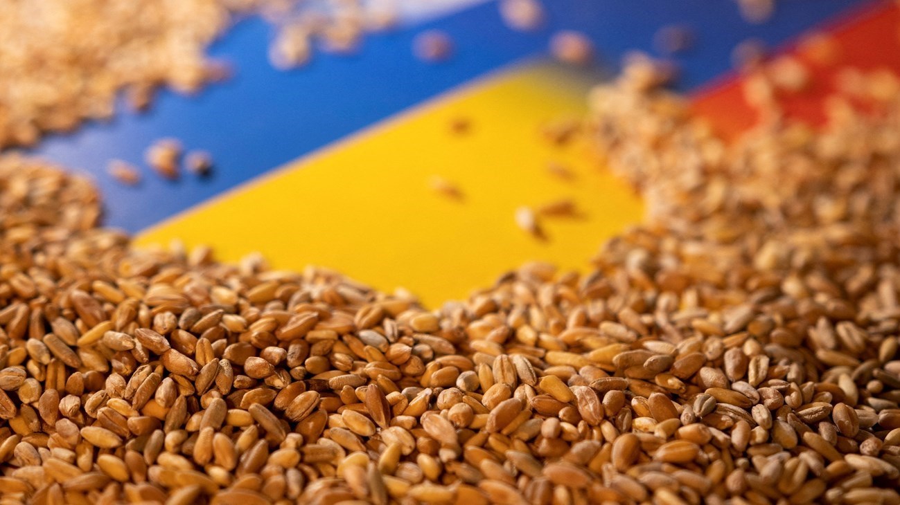 روسيا تحيي آمال إبرام اتفاق جديد لتصدير الحبوب