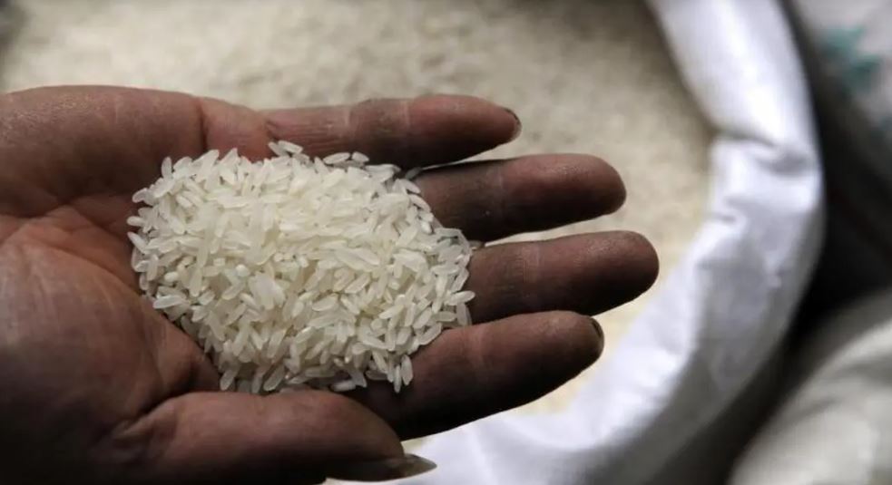 الإمارات توقف تصدير وإعادة تصدير الأرز مؤقتاً إلى خارج الدولة