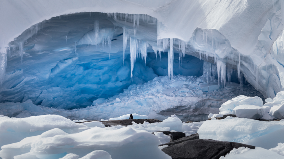 دراسة: ناقوس خطر يدق من القارة القطبية الجنوبية