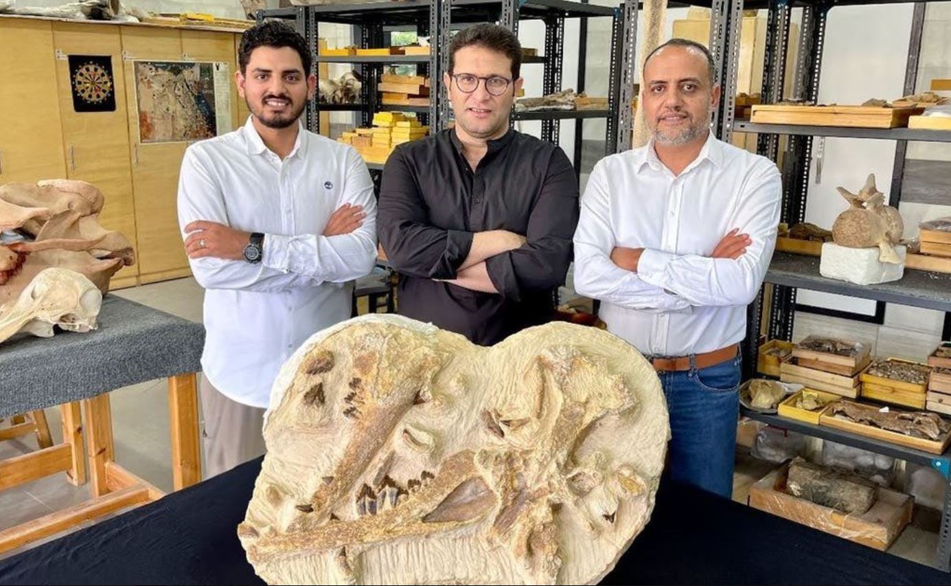 مصر تعلن اكتشاف أحد أقدم الحيتان في إفريقيا