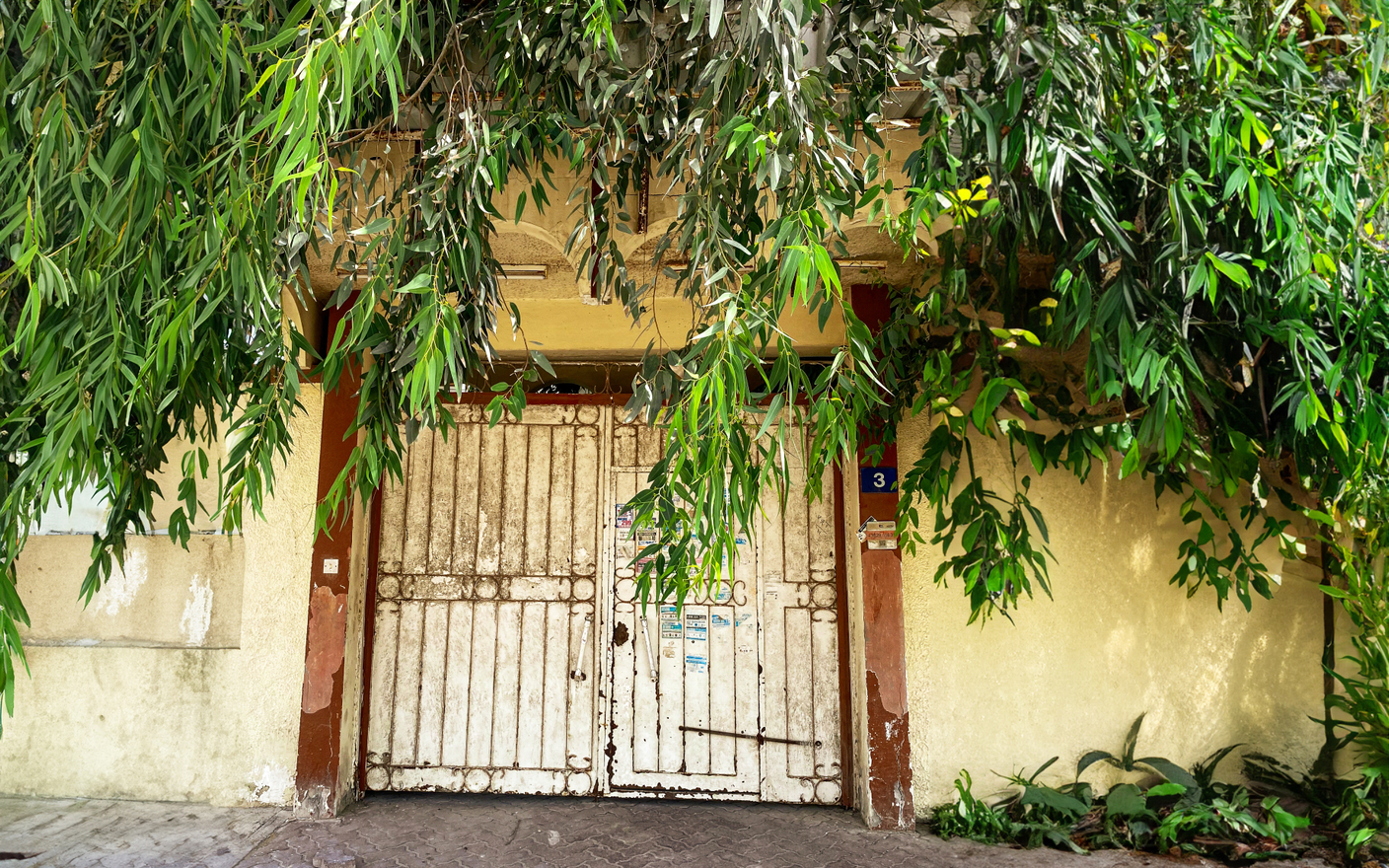 الصورة : أبواب من الحديد والخشب متنوعة الأشكال والألوان| تصوير: أحمد عبيد