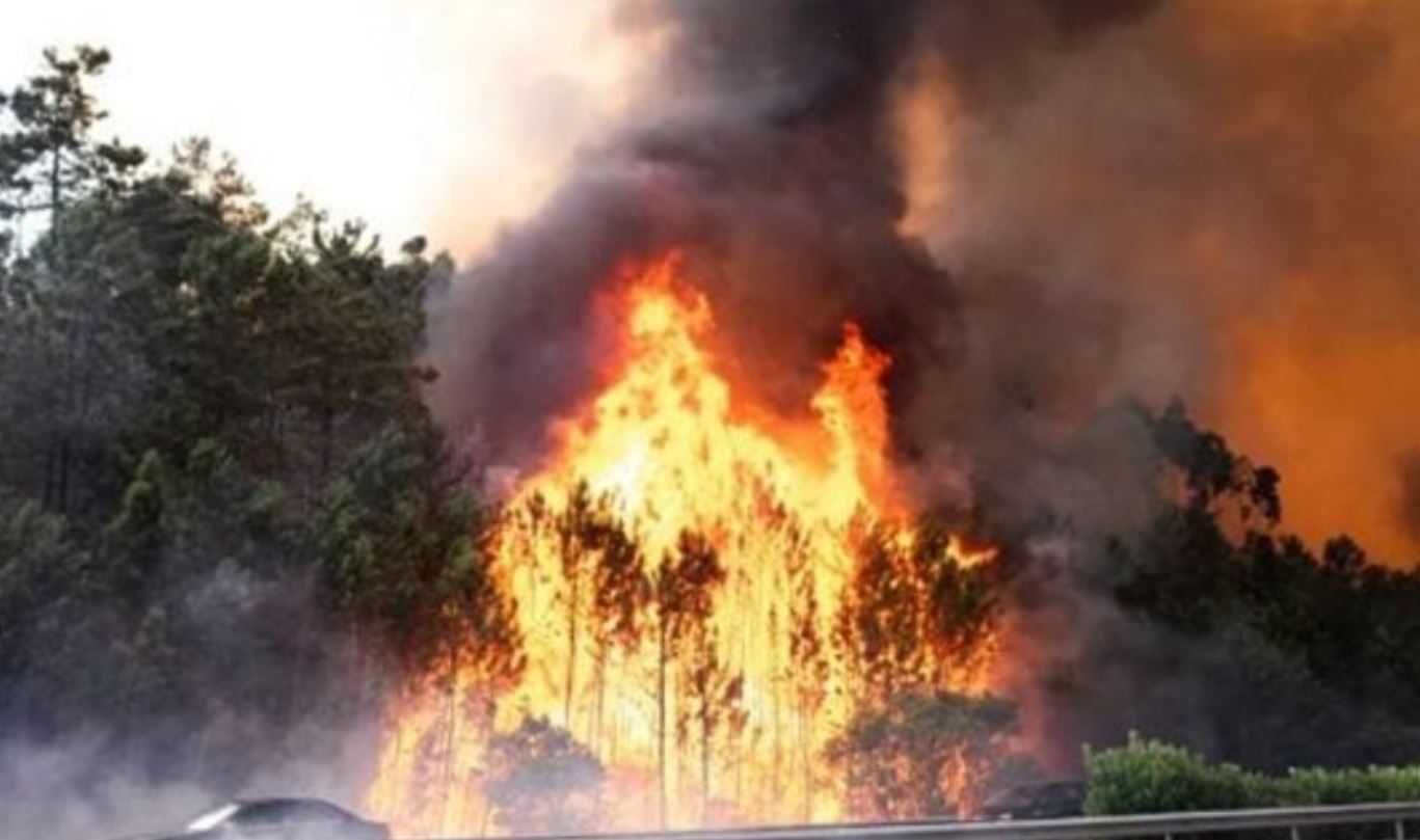 إخلاء ثماني قرى في شمال شرق اليونان بسبب حرائق غابات