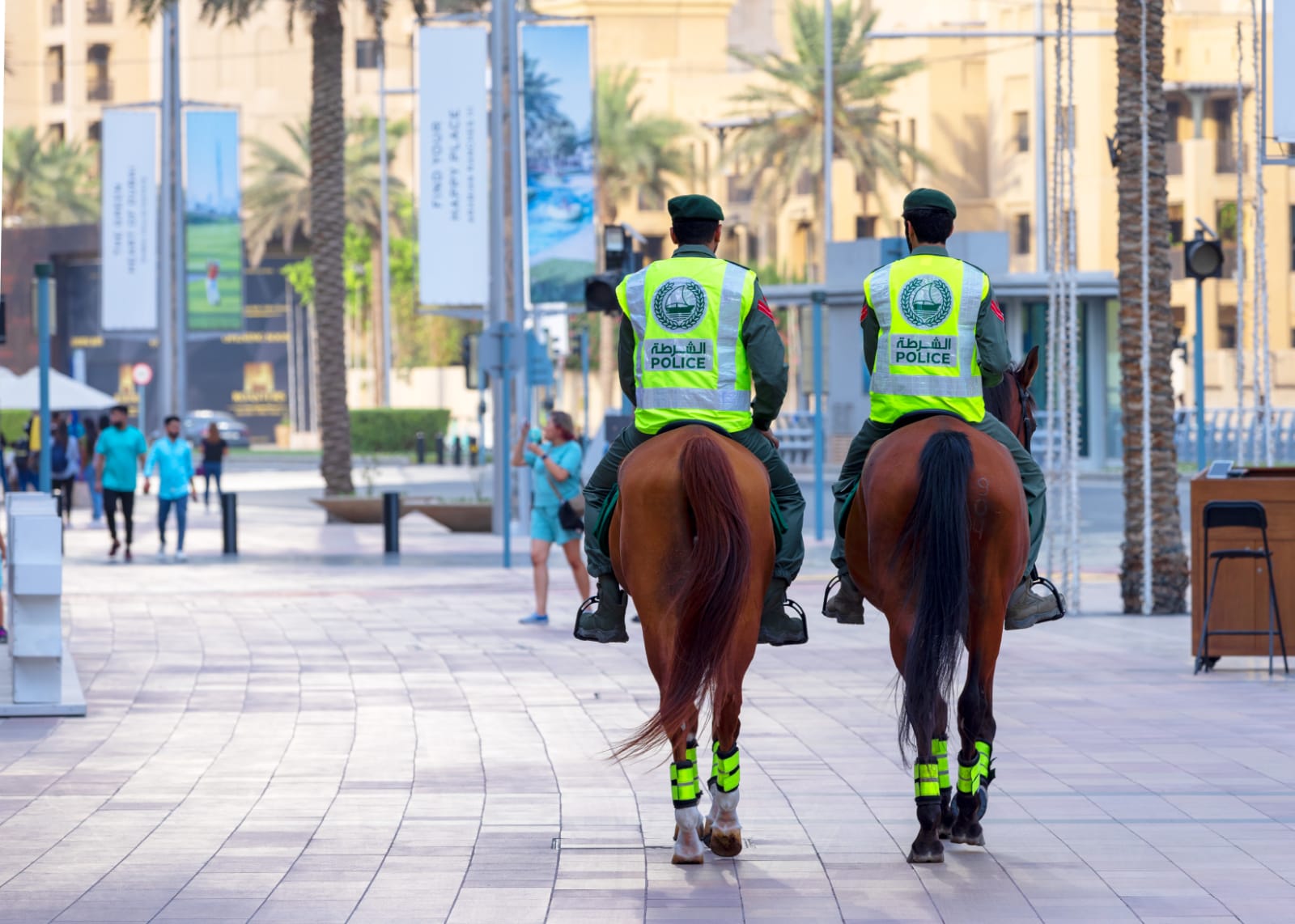 خيالة شرطة دبي تُسير 790 دورية في مختلف المناطق